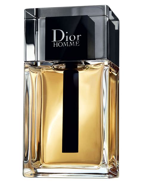 all dior homme|christian Dior Homme 2020.